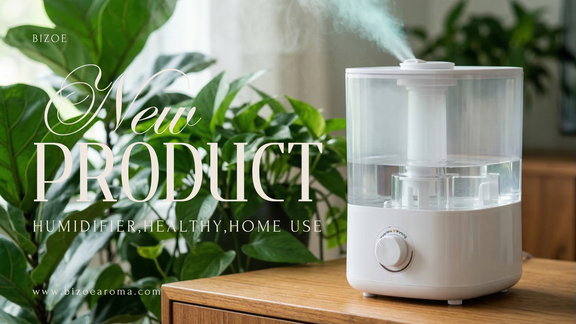 2.5L capacity ultrasonic humidifier support OEM/ODM