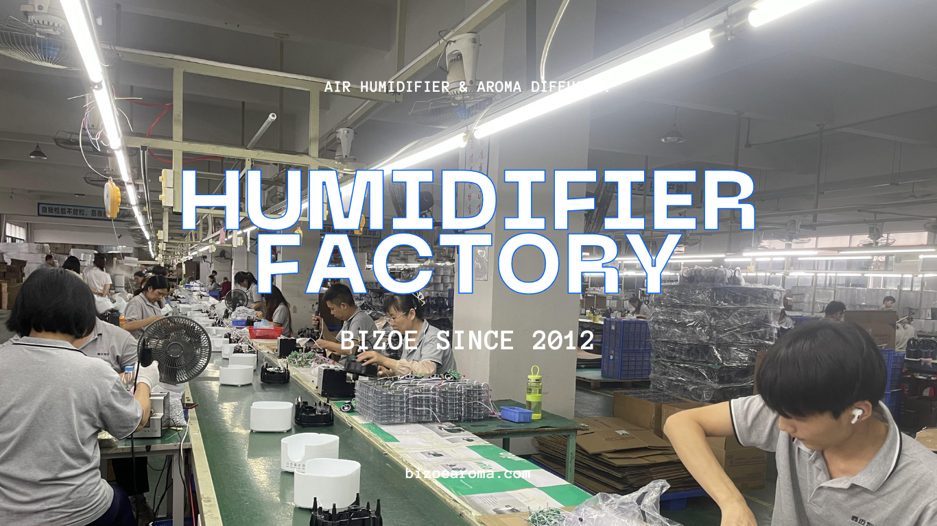 bizoe factory