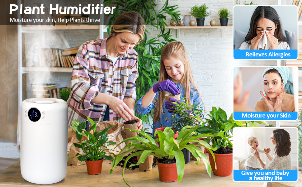 plant humidifier